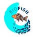 Big Fish Initiative (@bigfishinit) Twitter profile photo Big Fish Initiative (@bigfishinit) Twitter profile photo