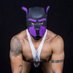 Ek Balam - Mr. Puppy Mexico 2024 (@xaeap) Twitter profile photo