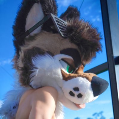 PalaceWolf_ Profile Picture