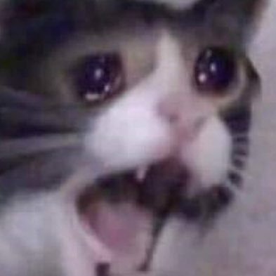 dripleafCH's profile picture. 2-18  pick your choice