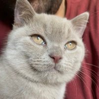 Mico (@bugtest0101) 's Twitter Profile