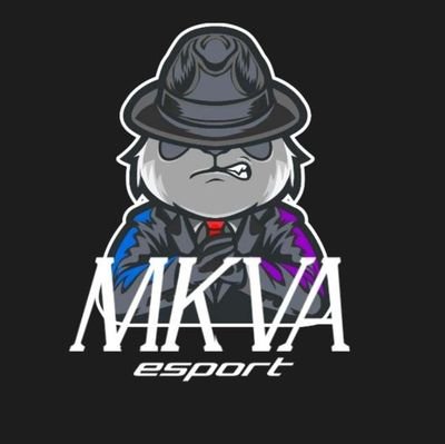 Oficjalna profil MKVA Esport na Twitterze 💪