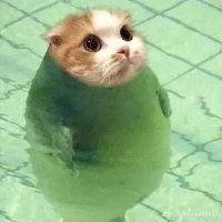 . (@kalastajamake) 's Twitter Profile