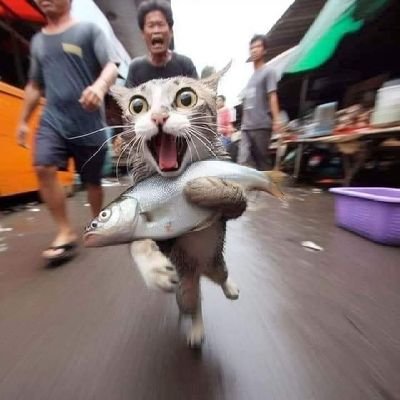 bloodymoodyGTU's profile picture. No bio