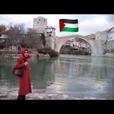 mother, chemical engineer #itü, student of Quran, #FreePalestine 🇵🇸