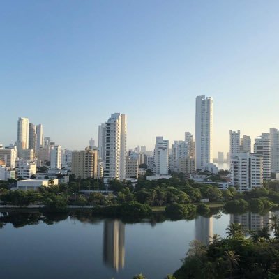 enalsa2310's profile picture. 