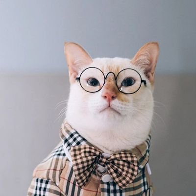 altun9943's profile picture. Profilimin Airdrop Tesnet Node vs için dir 
Hiçbir paylaşım yatırım tavsiyesi değildir
