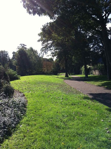 I'm a Green-Flagged patch in Camberwell, London, SE5. Kids, dogs, tennis. Now with ace new playground. I've got Friends.