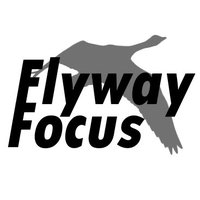 Flyway Focus (@flywayfocus) 's Twitter Profile Photo Flyway Focus (@flywayfocus) 's Twitter Profile Photo