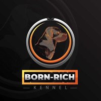 Bornrich(@Bornrichkwabena) 's Twitter Profile Photo