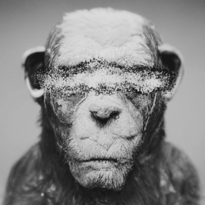 DreadBong001's profile picture. 6+ crypto years#bitcoin | Man of Bitcoin | Investor | Private Account, Public Account @DreadBong0