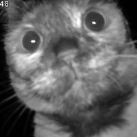 n o o k (@theembracedone) 's Twitter Profile Photo