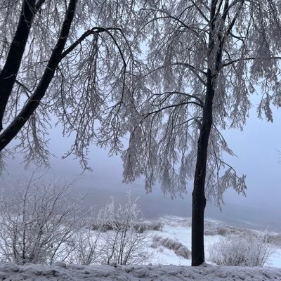 lubova_sh's profile picture. 