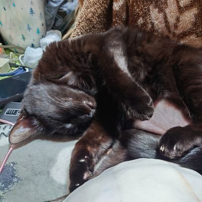 sapom0714's profile picture. 