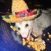 XTotallyNotKerryC (@xnotkerrycx) Twitter profile photo XTotallyNotKerryC (@xnotkerrycx) Twitter profile photo
