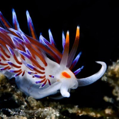 filterfull1122's profile picture. XZC4FWSY