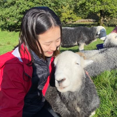 physician in the arts 🌌: researcher modeling decision analysis in GI 💩, poet 📜, flutist | @DukeHealth @ColumbiaPS @Harvard | also animal/sheep lover 🐑