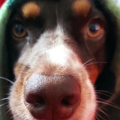 SantonioG_P's profile picture. ¿Ser bueno en un deporte cuando puedes ser malo en tres? Yo #Triathon