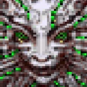 tekumuto's profile picture. post-youtube youtuber | @okayultrapod