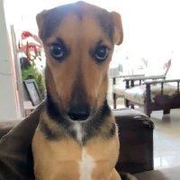 Gess (@jubsgee) 's Twitter Profile