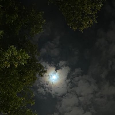 Ra111am's profile picture. 