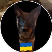 Ronald Kuilder 🇳🇱 🇺🇦 Ik leef mijn vrijheid!(@RonaldKuilder) 's Twitter Profile Photo