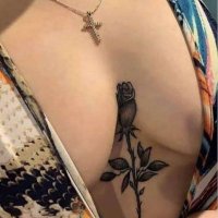 شيرين وماهر 🌺🌹🥀 (@ymody8147) Twitter profile photo