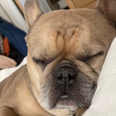 cracchiolo1616's profile picture. 