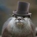 Sir Spectre The Otter (@0Spectre00) Twitter profile photo