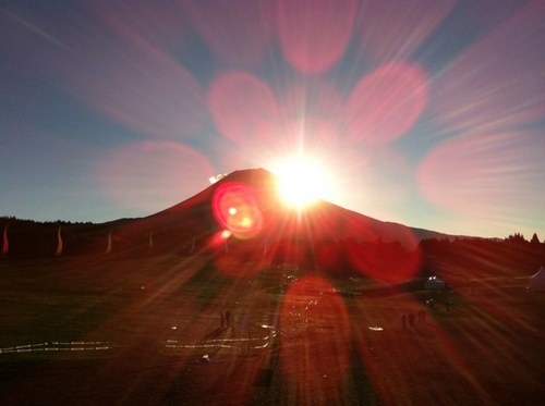 ao_zeal's profile picture. 