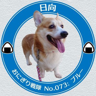 Panasonic - コーギーパパ こぎ父 (@y9EEWgH0AJ69271) / Posts / X