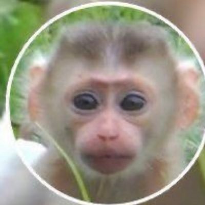 i’m a little baby monkey 😮