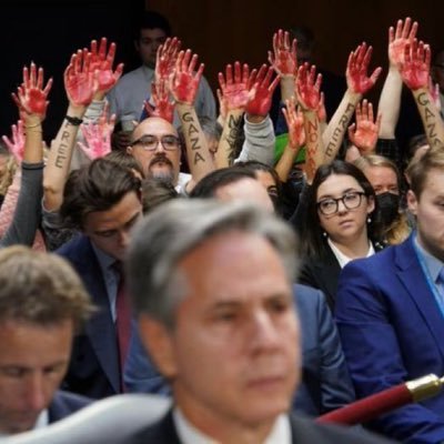 rjebkarts's profile picture. Dialogical