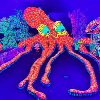 rstellis's profile picture. 