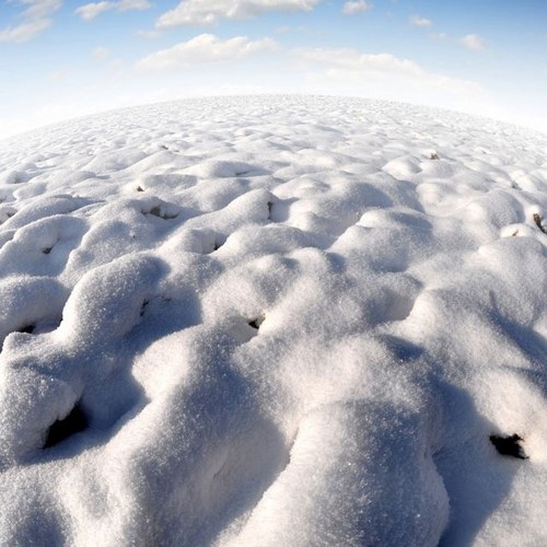 homedog666's profile picture. 