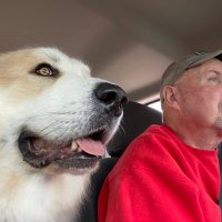 coach Bill (@cbill2200) 's Twitter Profile