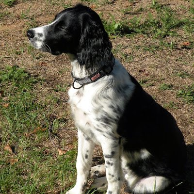 BoeningLyn72230's profile picture. 