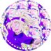 さき (@k1028_1224) Twitter profile photo さき (@k1028_1224) Twitter profile photo