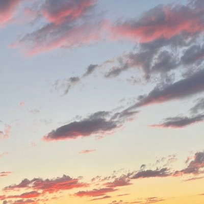 BrianTa36213606's profile picture. 