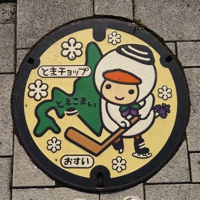 t_kaede_rn's profile picture. したから苫小牧