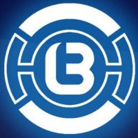 Biz Token(@TokenBiz3525) 's Twitter Profile Photo