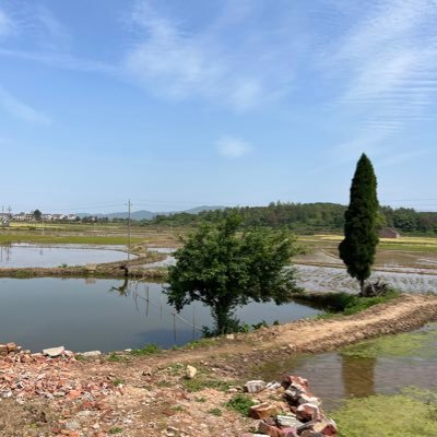 jasonli61813036's profile picture. fighting for COVID19