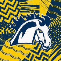 Mount Mercy Men's Volleyball (@mmumvolleyball) 's Twitter Profile