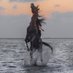 صهيل 🐎 (@h_a_999) Twitter profile photo صهيل 🐎 (@h_a_999) Twitter profile photo