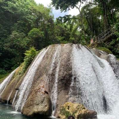 israelmalet's profile picture. 