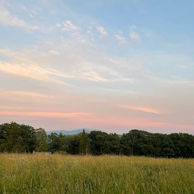 elevenbeansss's profile picture. 