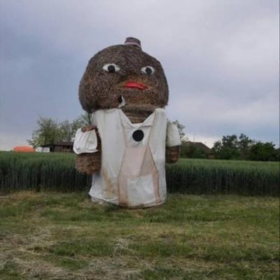 stevensD8811's profile picture. 