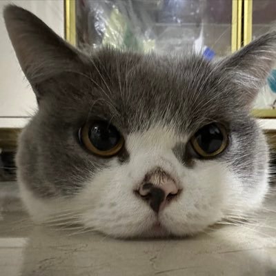 fnmngzh725680's profile picture. 