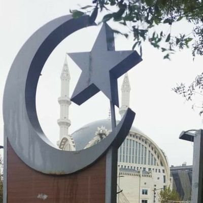Aᴠᴄıʟᴀʀ 'ᴀ Dᴀɪʀ Hᴇʀşᴇʏ
-
Dünya düzdür -
Derneğinin Avcılar ilce başkanı