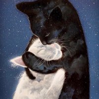 Pops, Molly,Skylie &Owlie 🇺🇦♥️🐾💕✨ (@poppymollyands1) 's Twitter Profile Photo Pops, Molly,Skylie &Owlie 🇺🇦♥️🐾💕✨ (@poppymollyands1) 's Twitter Profile Photo